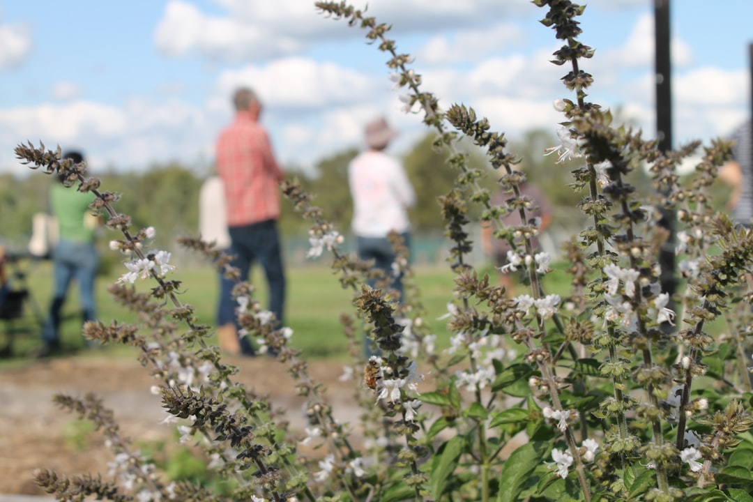 Community Garden Project Nominated for BBC Make a Difference Award