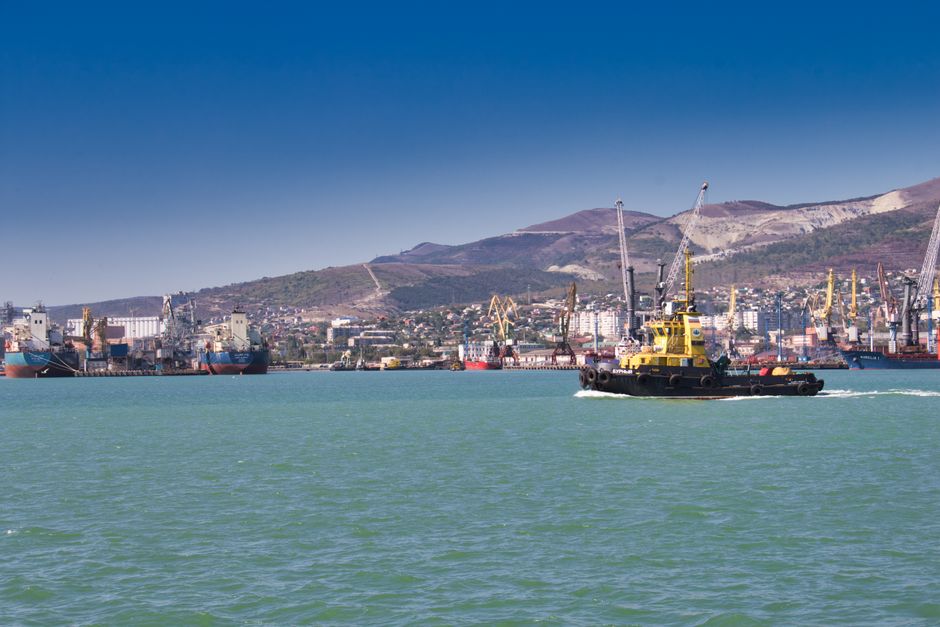 Ukrainian Strike Hits Russian Grain Export Facility at Black Sea Port